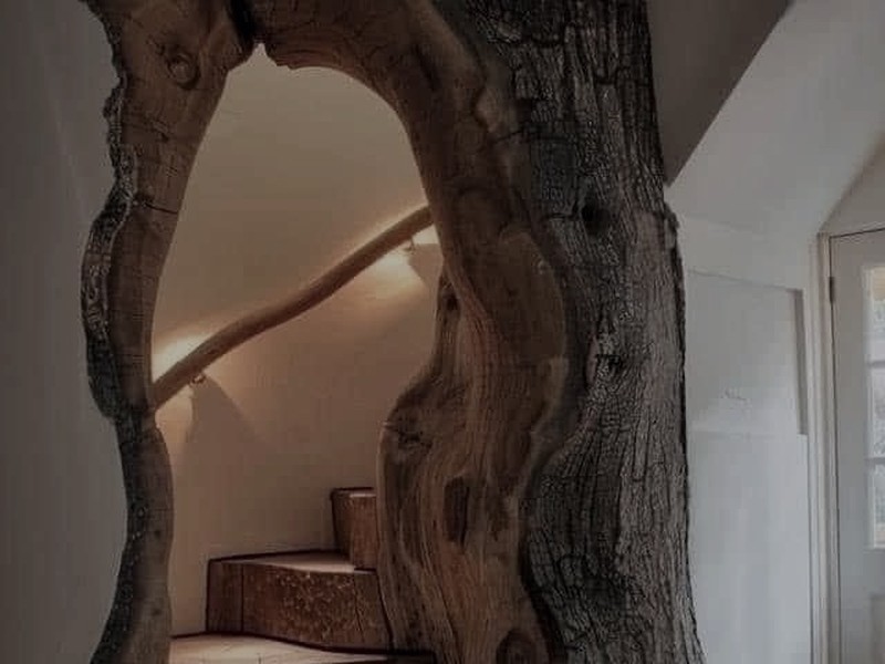 Tree trunk doorway with warm-lit stairs ascending beyond the threshold